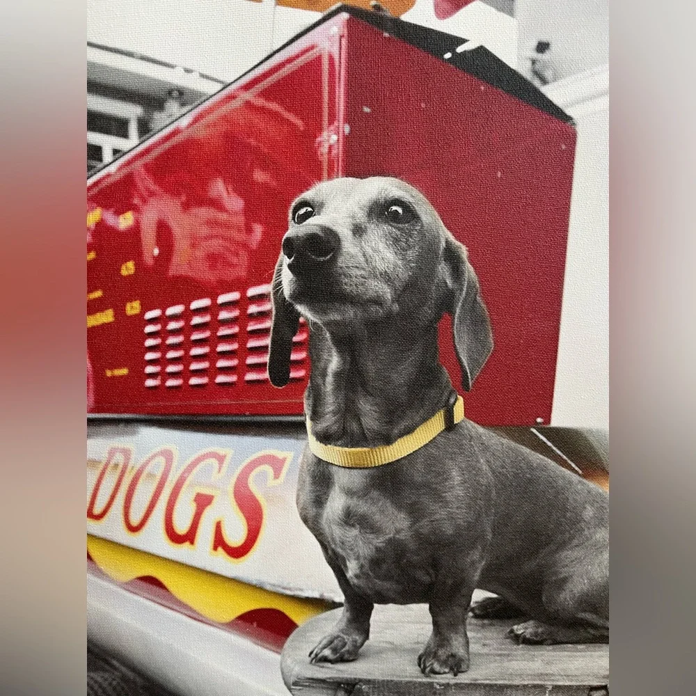 Dachshund Uniek Framed Canvas Art